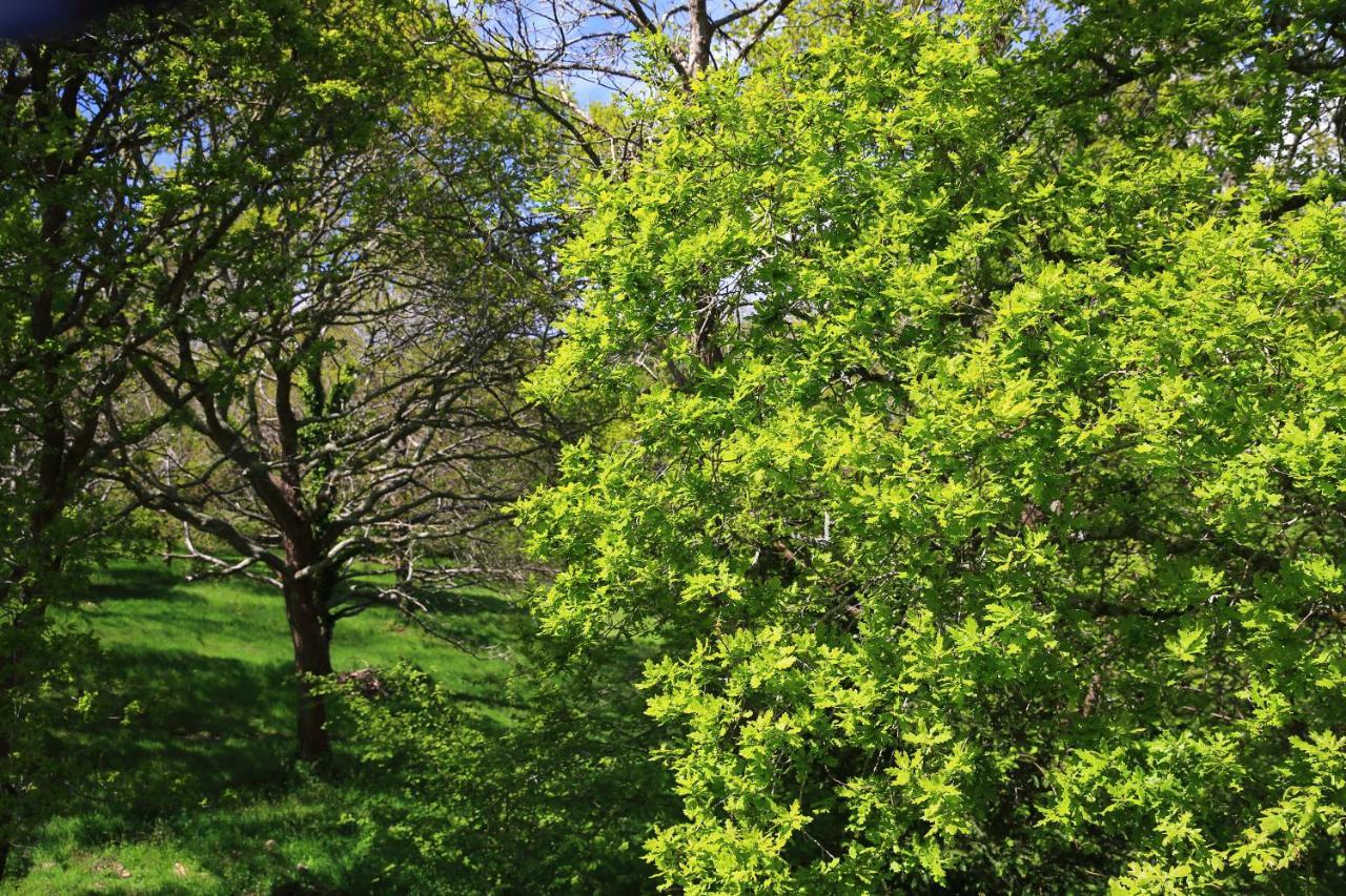 Aux Arbres Chanteurs Ploulech Экстерьер фото